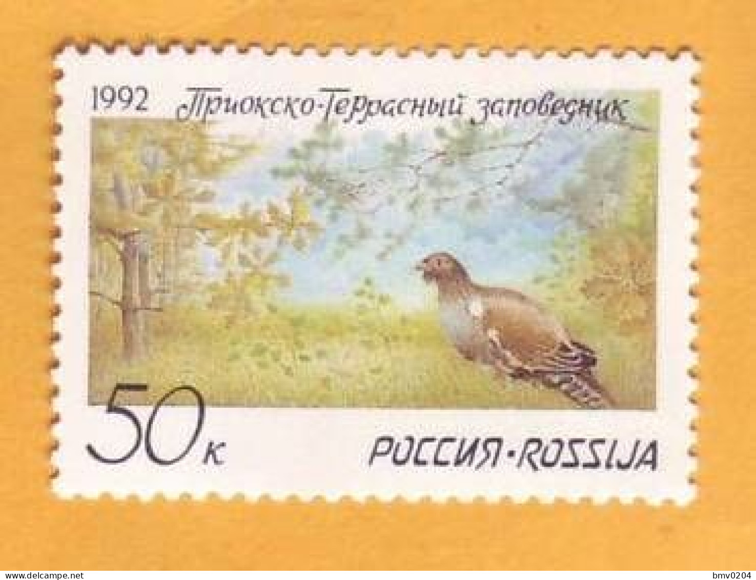 1992  Russia   Birds. Ringdove. Fauna. Forest. Landscape 1v Mint - Tauben & Flughühner