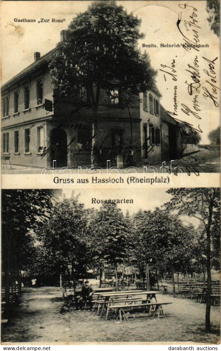 T2/T3 1907 Haßloch, Hassloch (Rheinpfalz); Gasthaus Zur Rose, Rosengarten / Inn, Garden (fl) - Unclassified