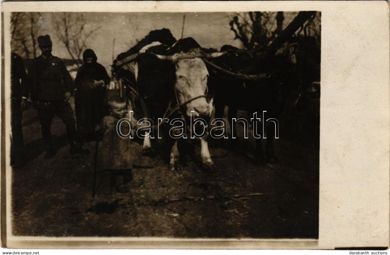 * T2 1918 San Cassiano Di Livenza, Első Világháborús Osztrák-magyar Katonák ökörszekérrel / WWI K.u.k. Military, Soldier - Non Classificati