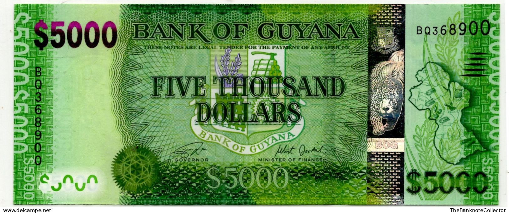 Guyana 5000 Dollars  ND 2021 P-40 UNC - Guyana