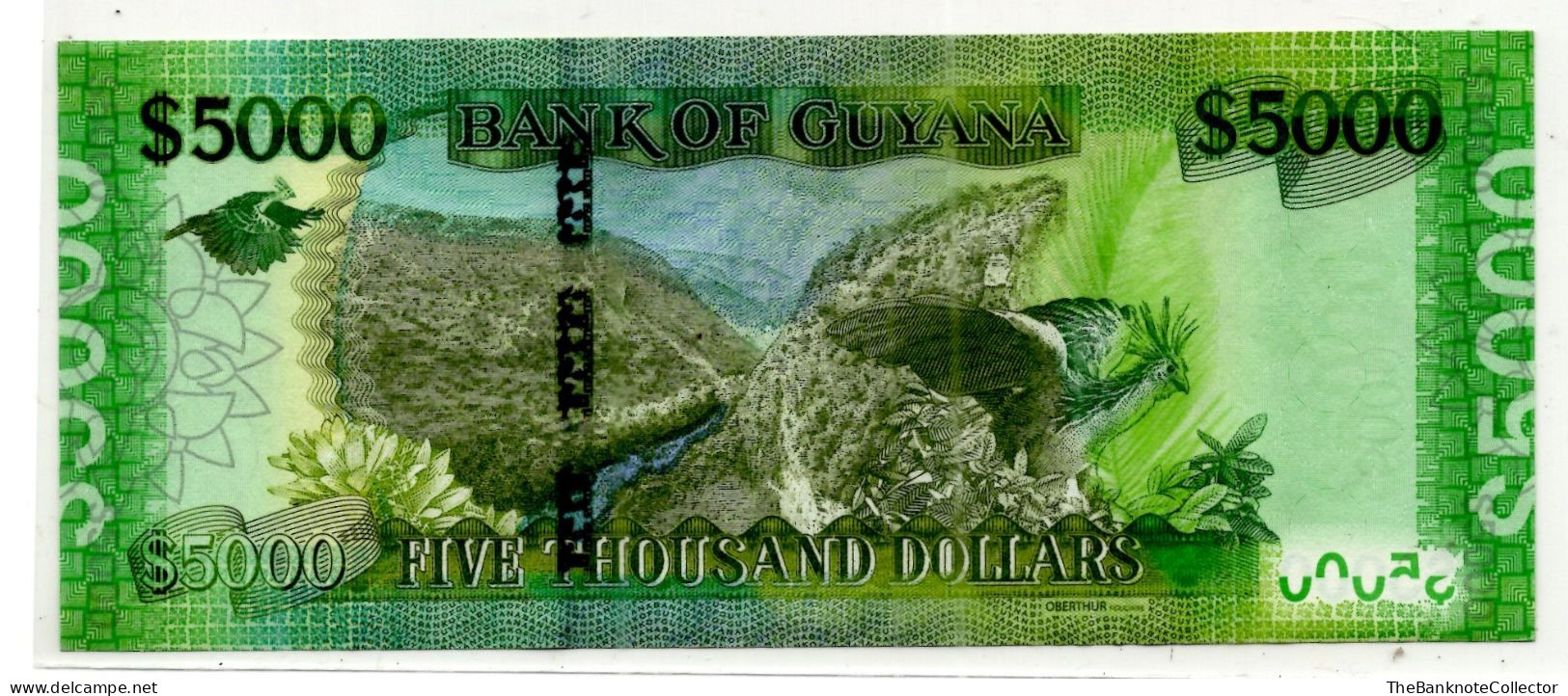 Guyana 5000 Dollars  ND 2021 P-40 UNC - Guyana