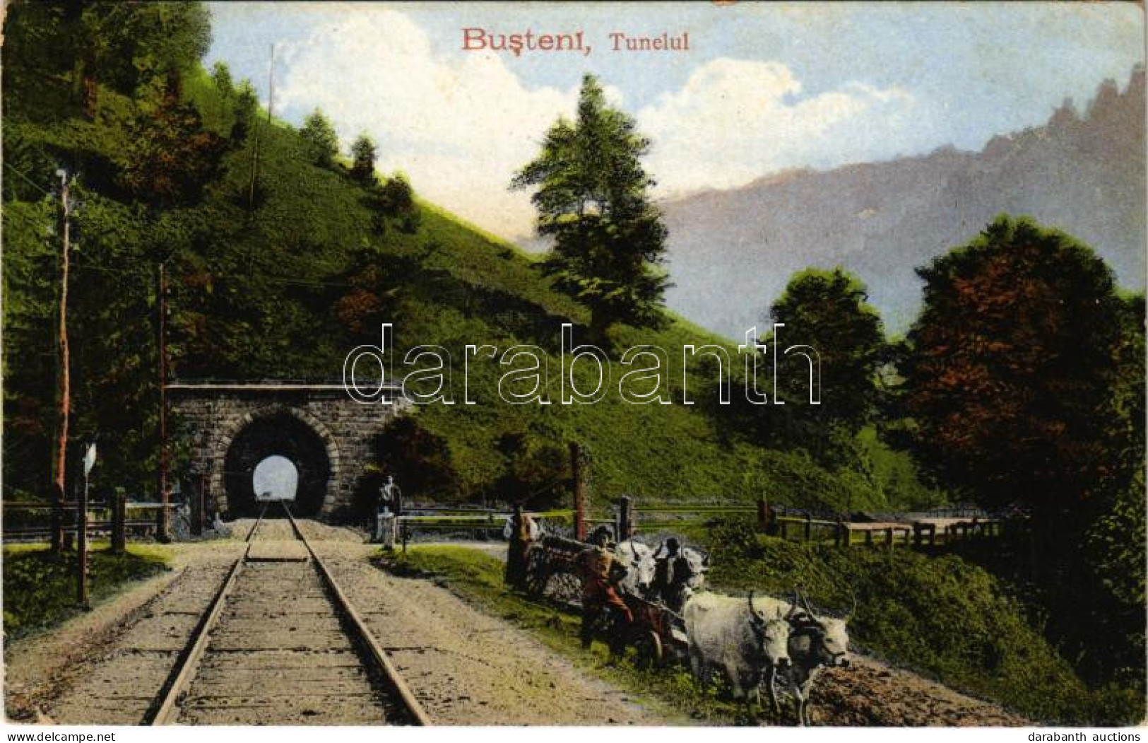* T2/T3 Busteni, Tunelul / Railway Tunnel (EK) - Unclassified