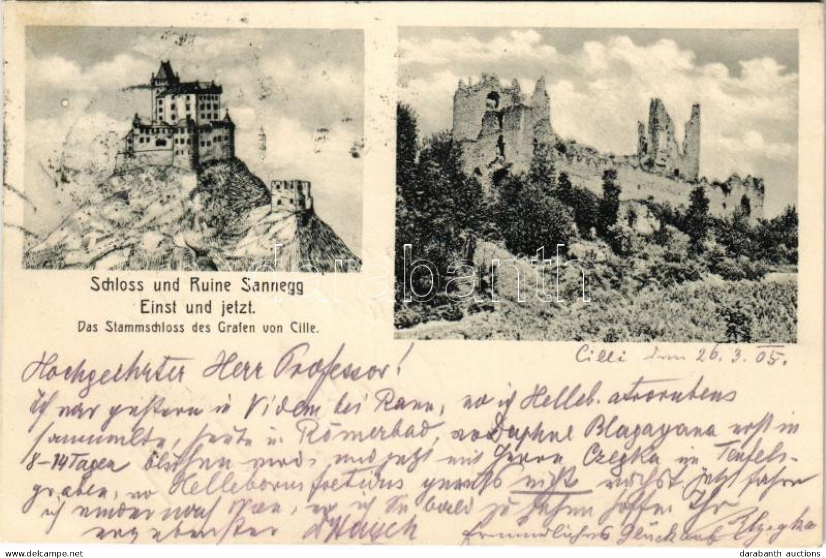 T2/T3 1905 Braslovce, Schloss Und Ruine Sannegg (Sanneck) Einst Und Jetzt, Das Stammschloss Des Grafen Von Cille / Zovne - Non Classés