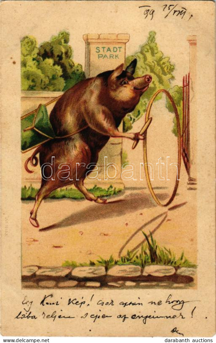 * T3 1899 (Vorläufer) Pig. Litho (EM) - Unclassified