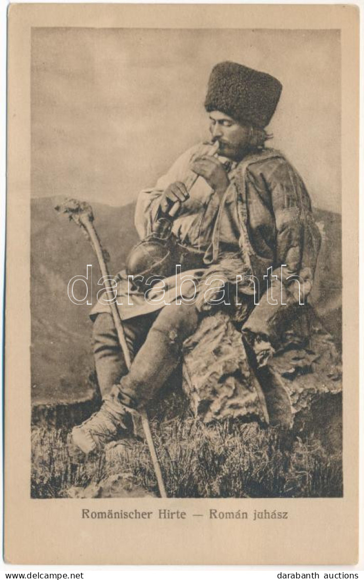 ** T2/T3 Romänischer Hirte. Kunstanstalt Jos. Drotleff, Hermannstadt Nr. 401. 1917. / Román Juhász / Romanian Folklore,  - Sin Clasificación