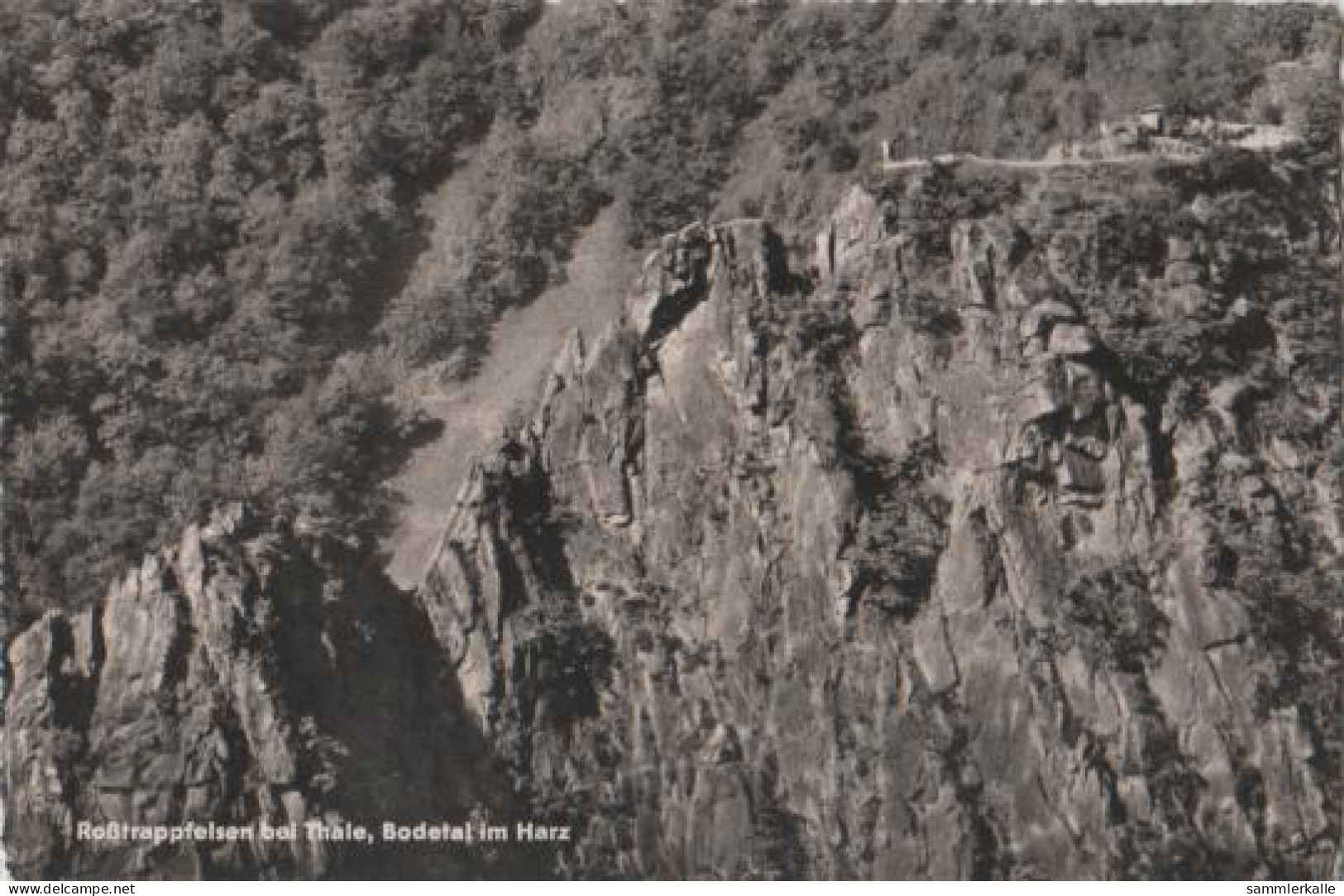 13570 - Rosstrappfelsen Bei Thale - 1962 - Thale
