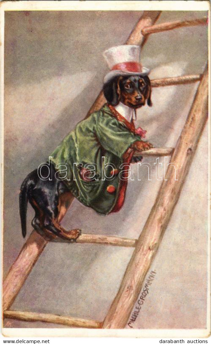 * T2/T3 Dachshund Dog On A Ladder. B.K.W.I. 797-6. S: Mechle-Grosmann (EK) - Non Classés