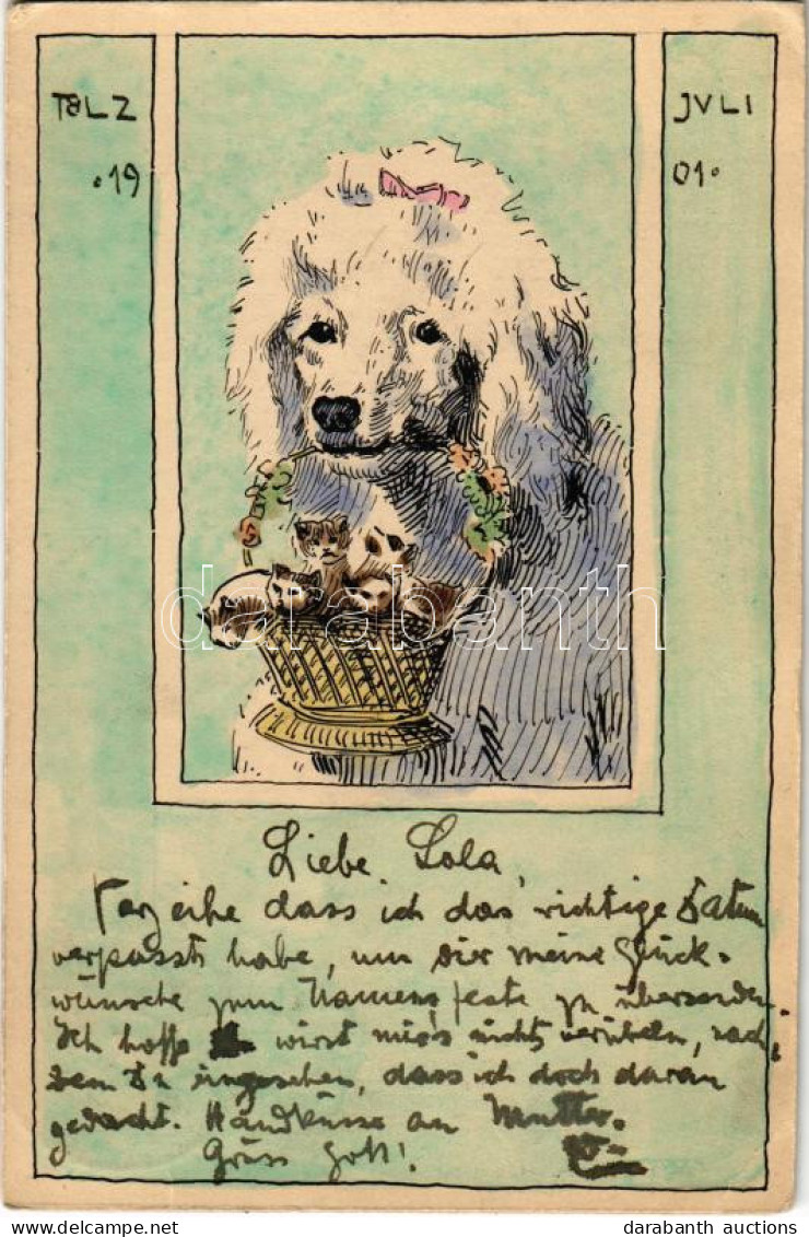 T2/T3 1901 Juli, Tölz / Uszkár Kutya Kis Cicákkal - Kézzel Festett / Poodle Dog With Kittens - Hand Painted (EK) - Ohne Zuordnung