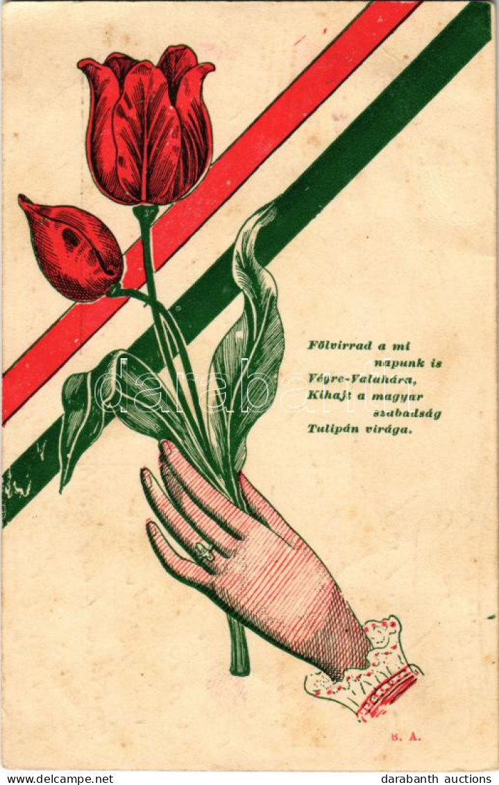 * T3 1906 Fölvirrad A Mi Napunk Is Végre-valahára, Kihajt A Magyar Szabadság Tulipán Virága. Hazafias Propaganda Magyar  - Zonder Classificatie