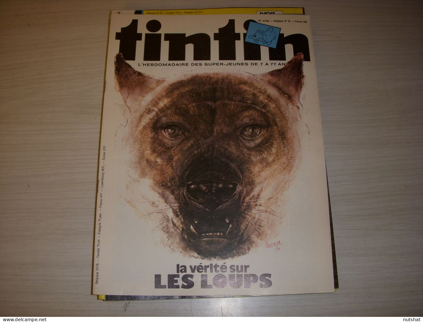TINTIN 206 17.08.1979 Les LOUPS Dans La BD Les ARCHIVES MOULINSART PUB MALABAR - Tintin