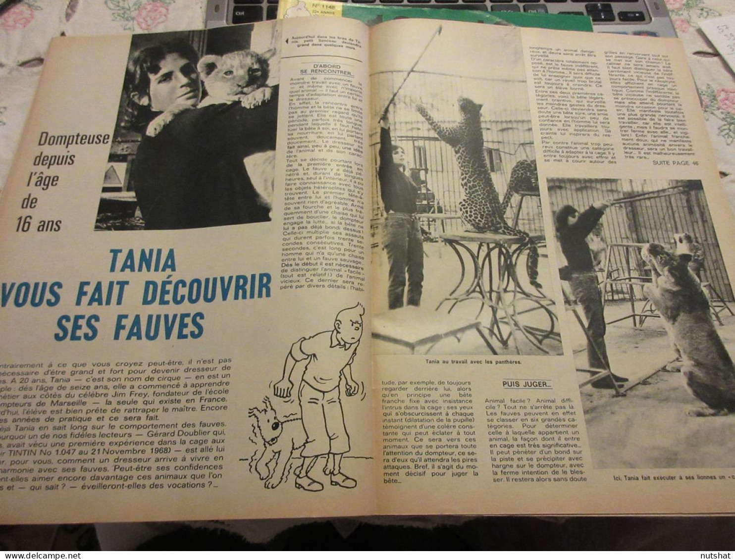 TINTIN 1147 22.10.1970 VOLKSWAGEN K70 CIRQUE TANIA La DOMPTEUSE Et Ses FAUVES    - Kuifje