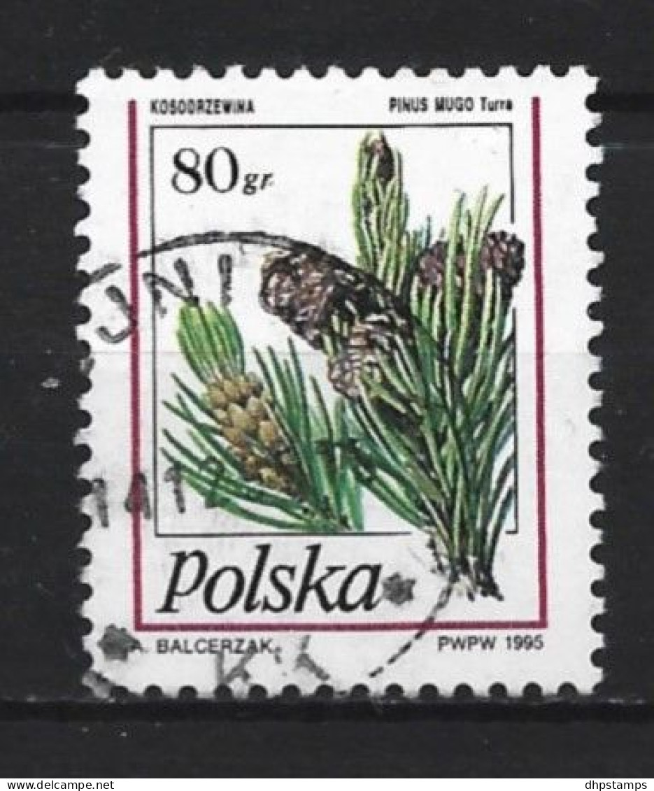 Polen 1995 Plant Y.T. 3319 (0) - Used Stamps