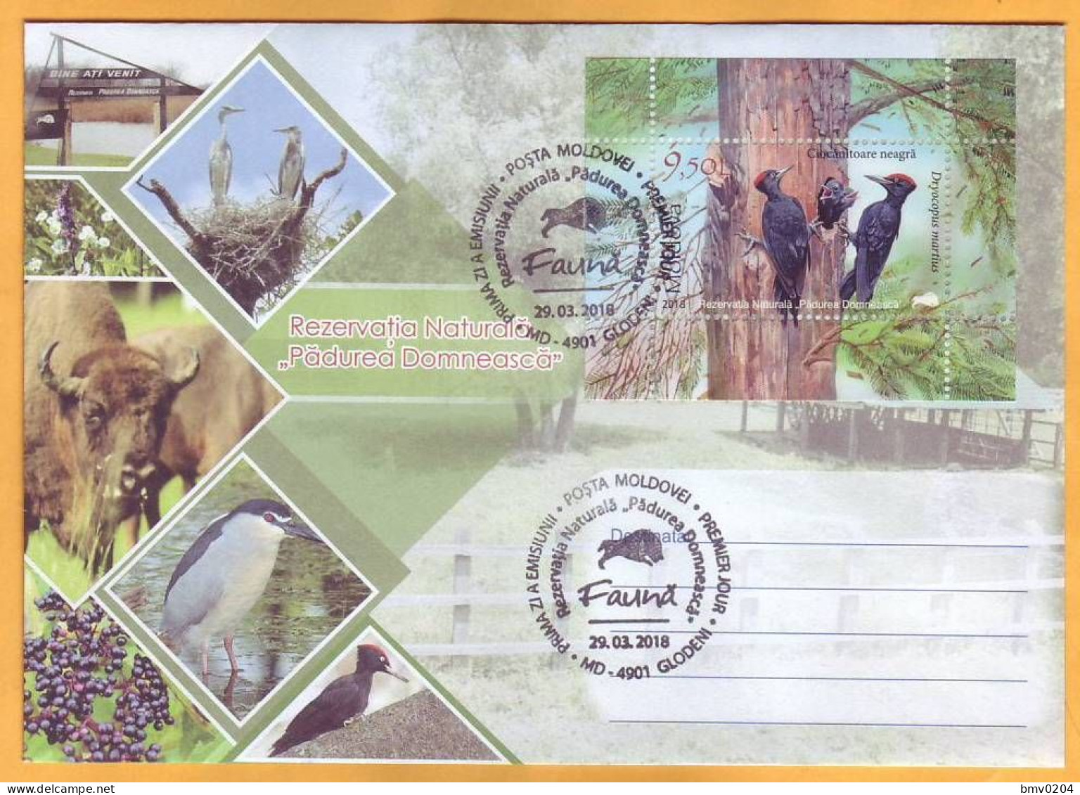 2018 Moldova Moldavie FDC  Fauna  Nature, Nature Reserve. Forest. Birds - Moldavie