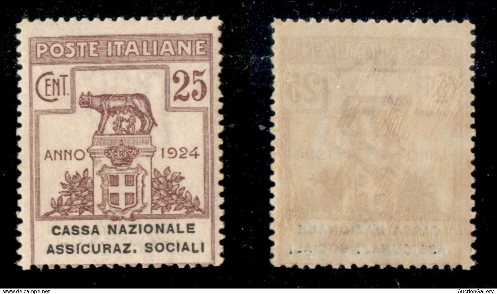 Regno - Parastatali - 1924 - 25 Cent Assicuraz. Sociali (26) - Gomma Integra (137) - Sonstige & Ohne Zuordnung