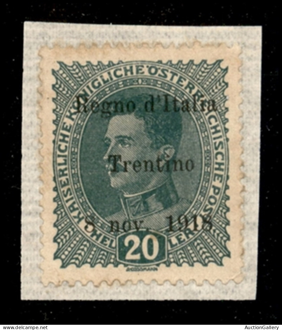 Occupazioni I Guerra Mondiale - Trentino-Alto Adige - 1918 - 20 Heller (7d) Errore 8 - Nuovo Senza Gomma (applicato Su S - Sonstige & Ohne Zuordnung