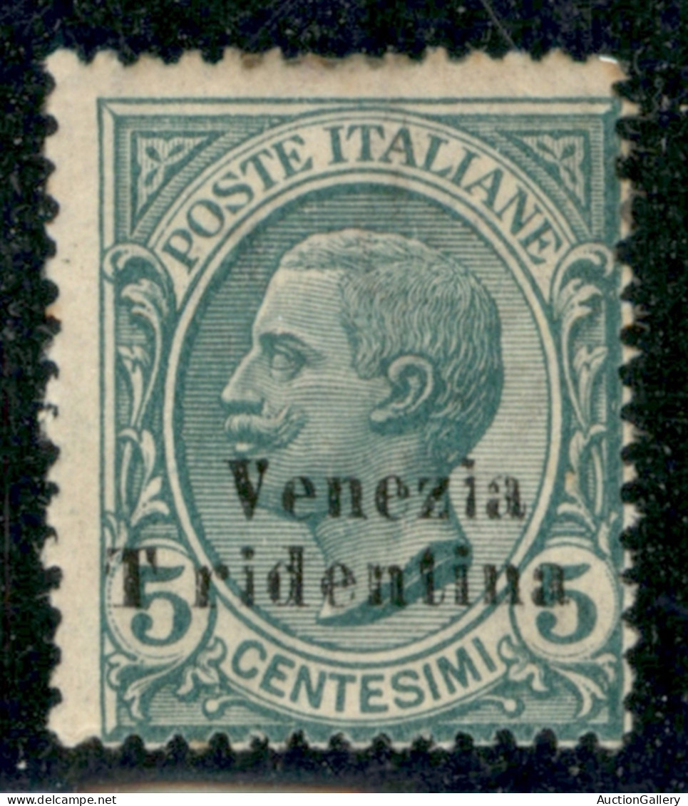 Occupazioni I Guerra Mondiale - Trentino-Alto Adige - 1918 - 5 Cent Leoni (21 C) - T A Sinistra - Gomma Originale - Sonstige & Ohne Zuordnung