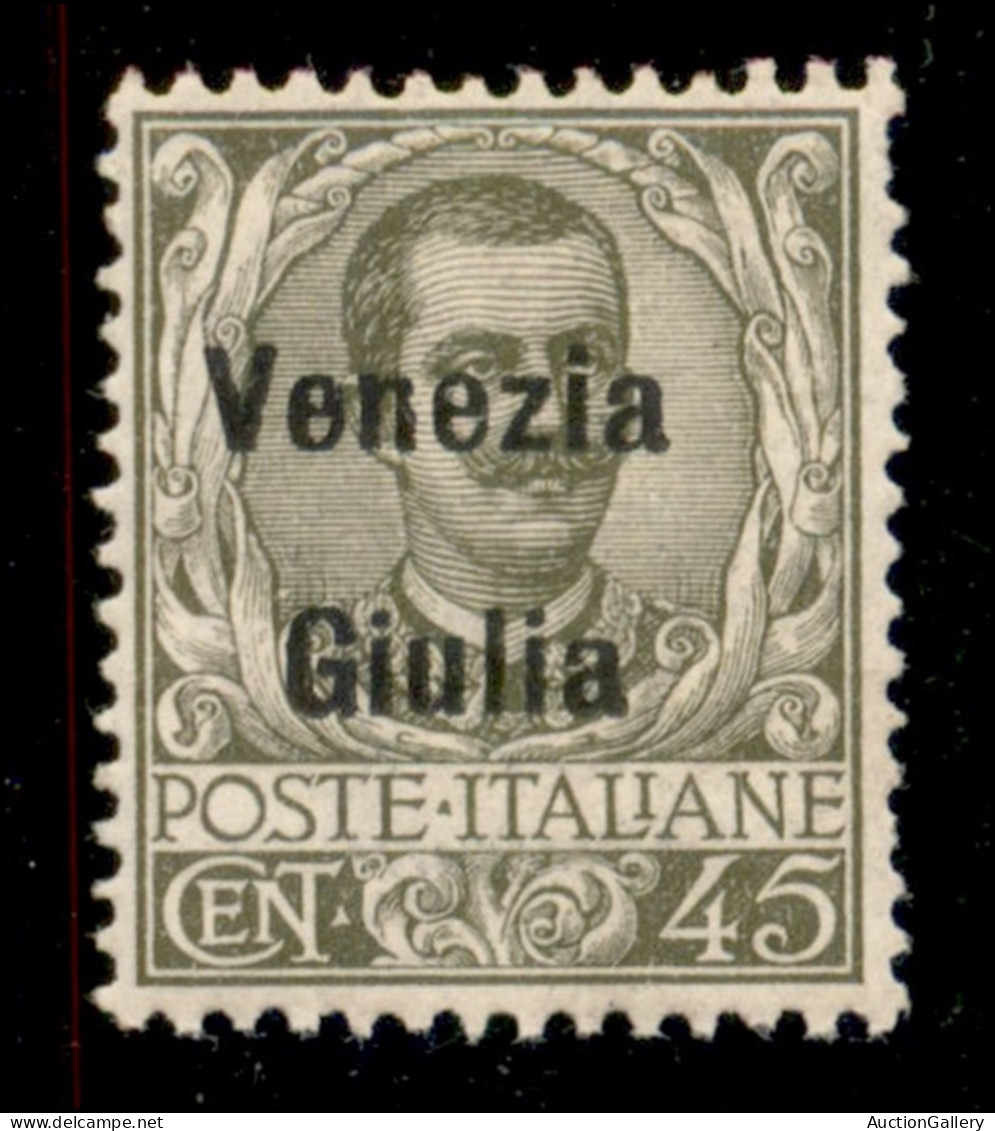 Occupazioni I Guerra Mondiale - Venezia Giulia - 1918 - 45 Cent (26) - Gomma Integra - Other & Unclassified