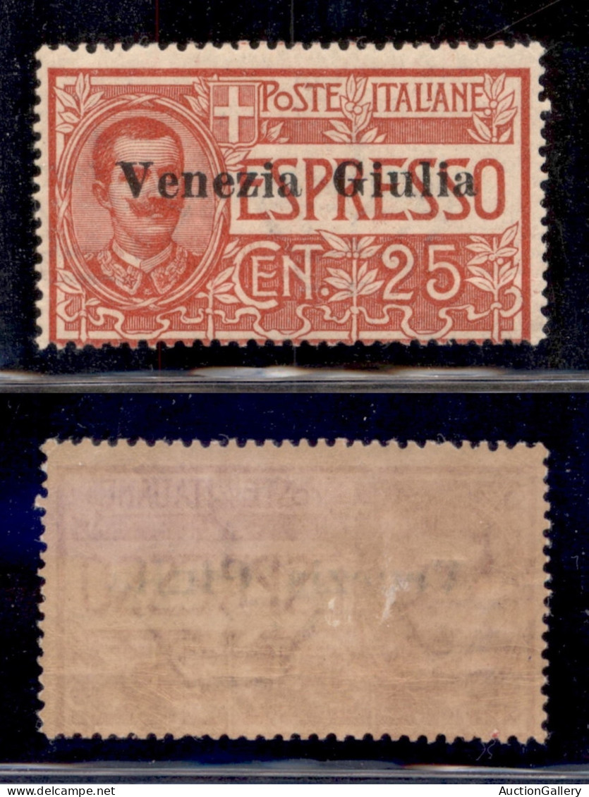 Occupazioni I Guerra Mondiale - Venezia Giulia - 1919 - 25 Cent (1) - Gomma Originale (250) - Autres & Non Classés