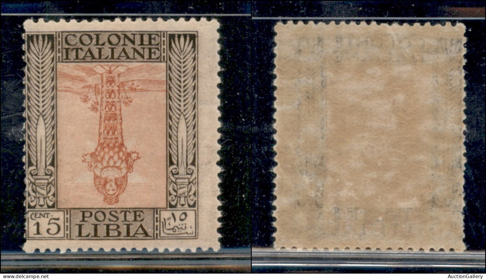 Colonie - Libia - 1921 - 15 Cent Pittorica (25c) Con Centro Capovolto - Gomma Originale Con Invisibile Traccia Di Lingue - Sonstige & Ohne Zuordnung