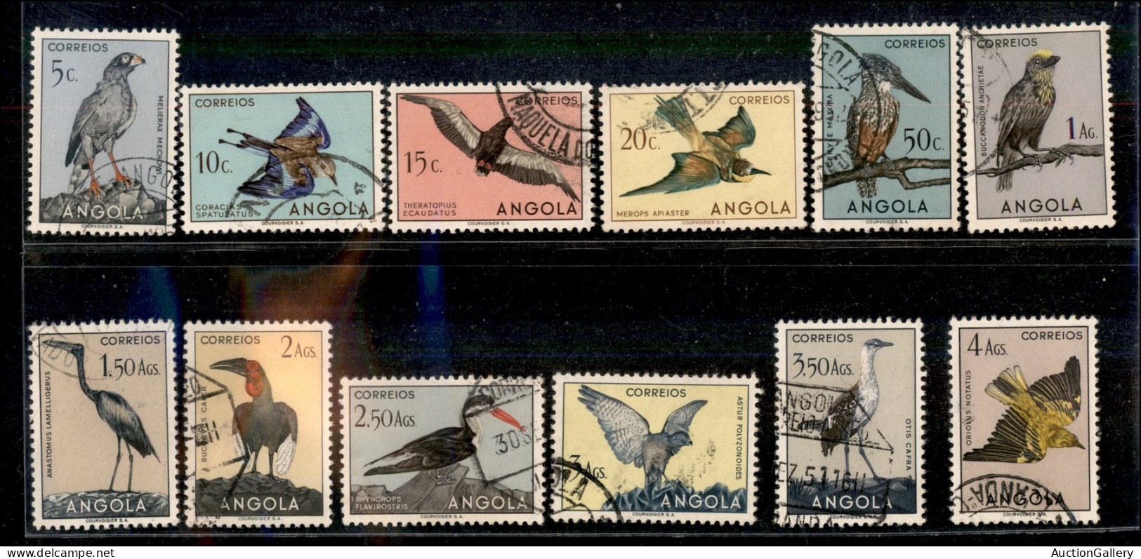 OLTREMARE - ANGOLA - 1951 - Uccelli (339/362) - Serie Completa - Usati - Sonstige & Ohne Zuordnung