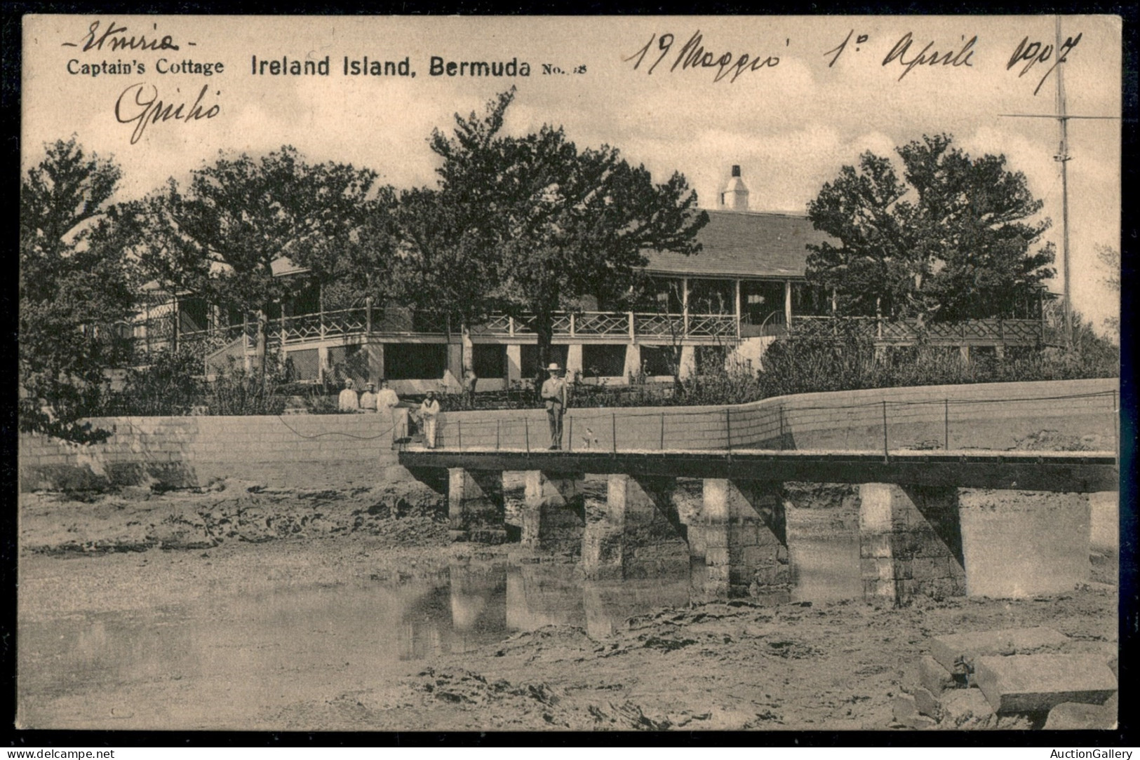 OLTREMARE - BERMUDE - 1/2 Penny (26) Su Cartolina Da Mangrove A Firenze Del 25.4.1907 - Andere & Zonder Classificatie