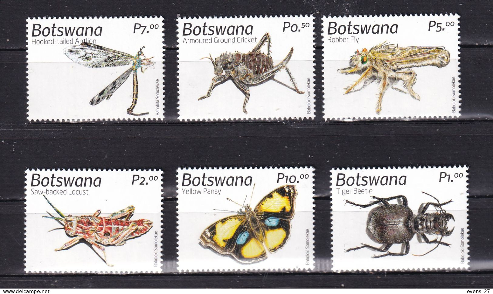 BOTSWANA-2019- INSECTS-MNH. - Botswana (1966-...)