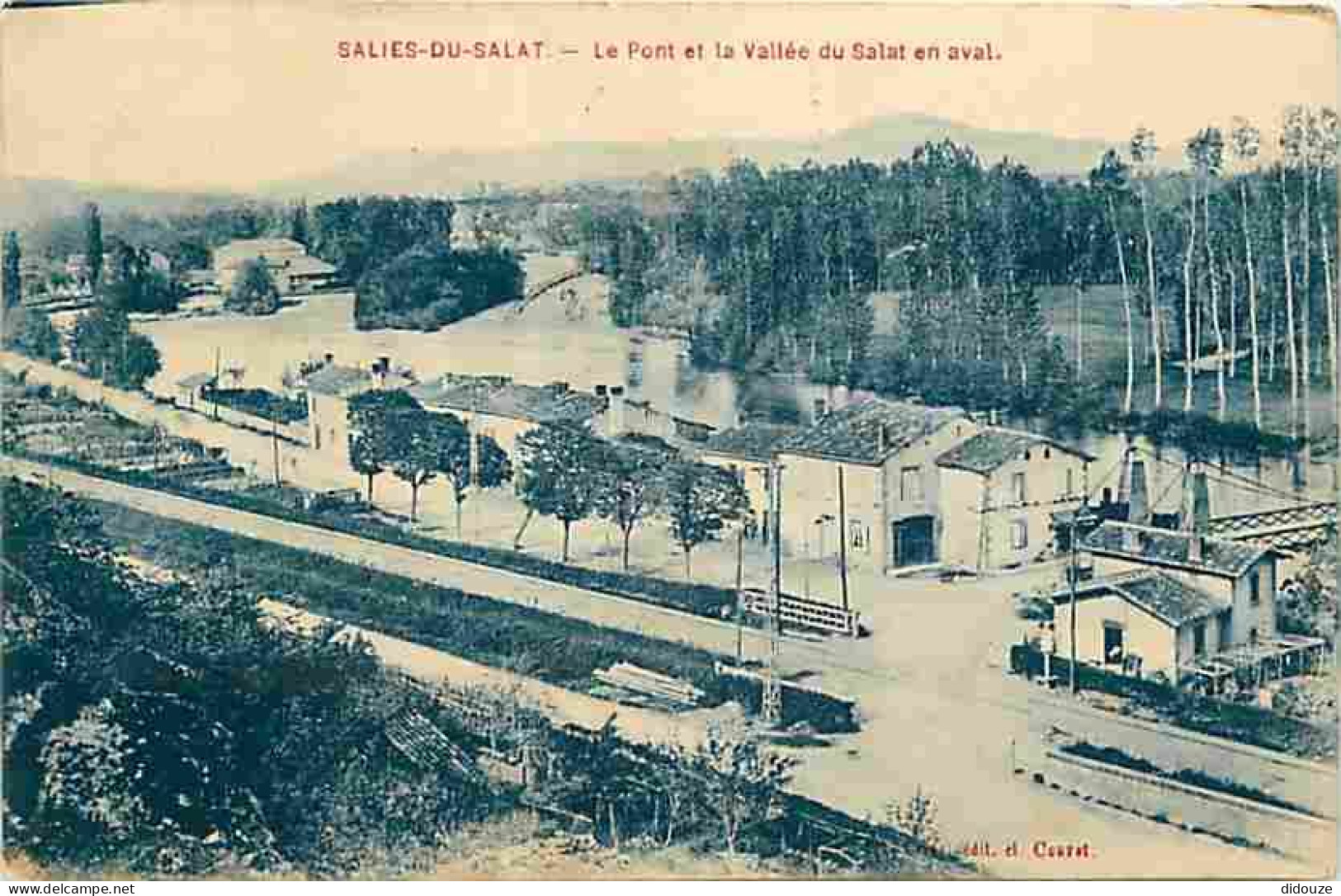 31 - Salies Du Salat - Le Pont Et La Vallée Du Salat En Aval - Oblitération Ronde De 1910 - CPA - Voir Scans Recto-Verso - Salies-du-Salat