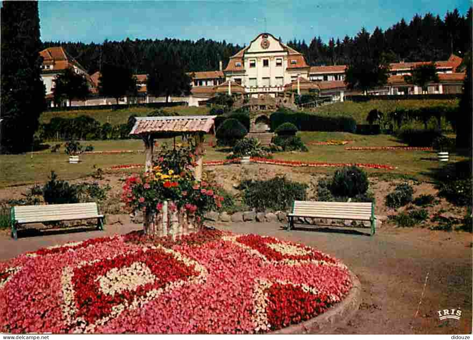 67 - Schirmeck - Centre Médical Spécialisé - Fleurs - CPM - Voir Scans Recto-Verso - Schirmeck