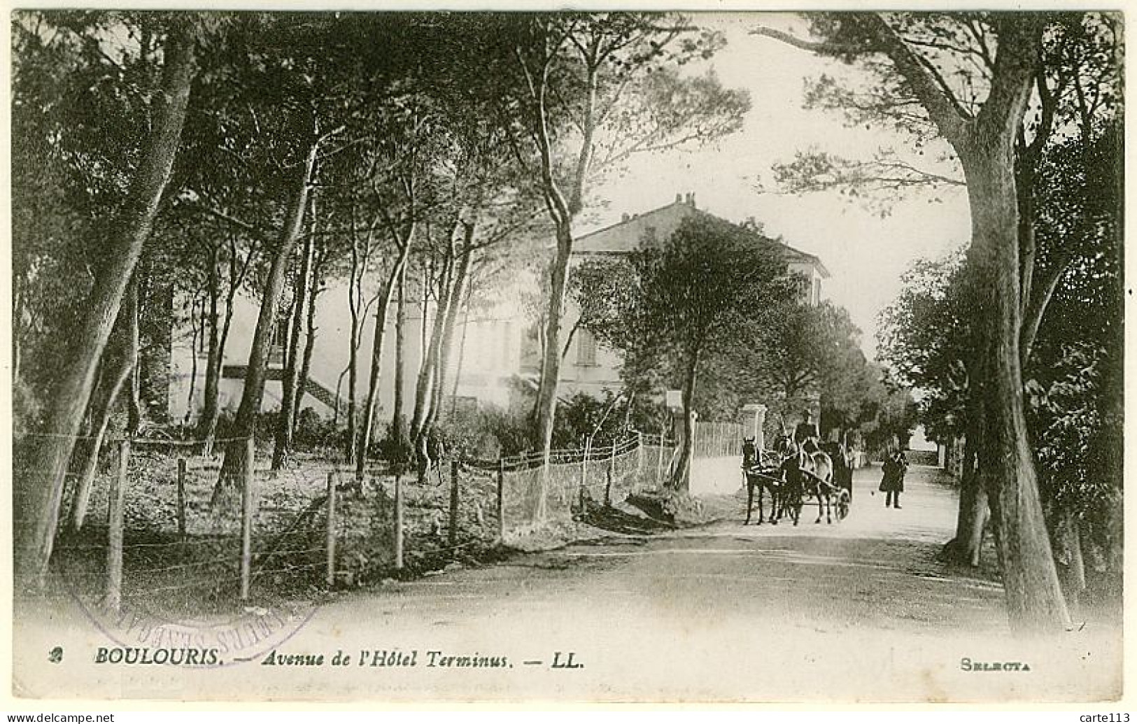 83 - B935CPA - BOULOURIS - Avenue De L'Hotel  Terminus - Très Bon état - VAR - Boulouris