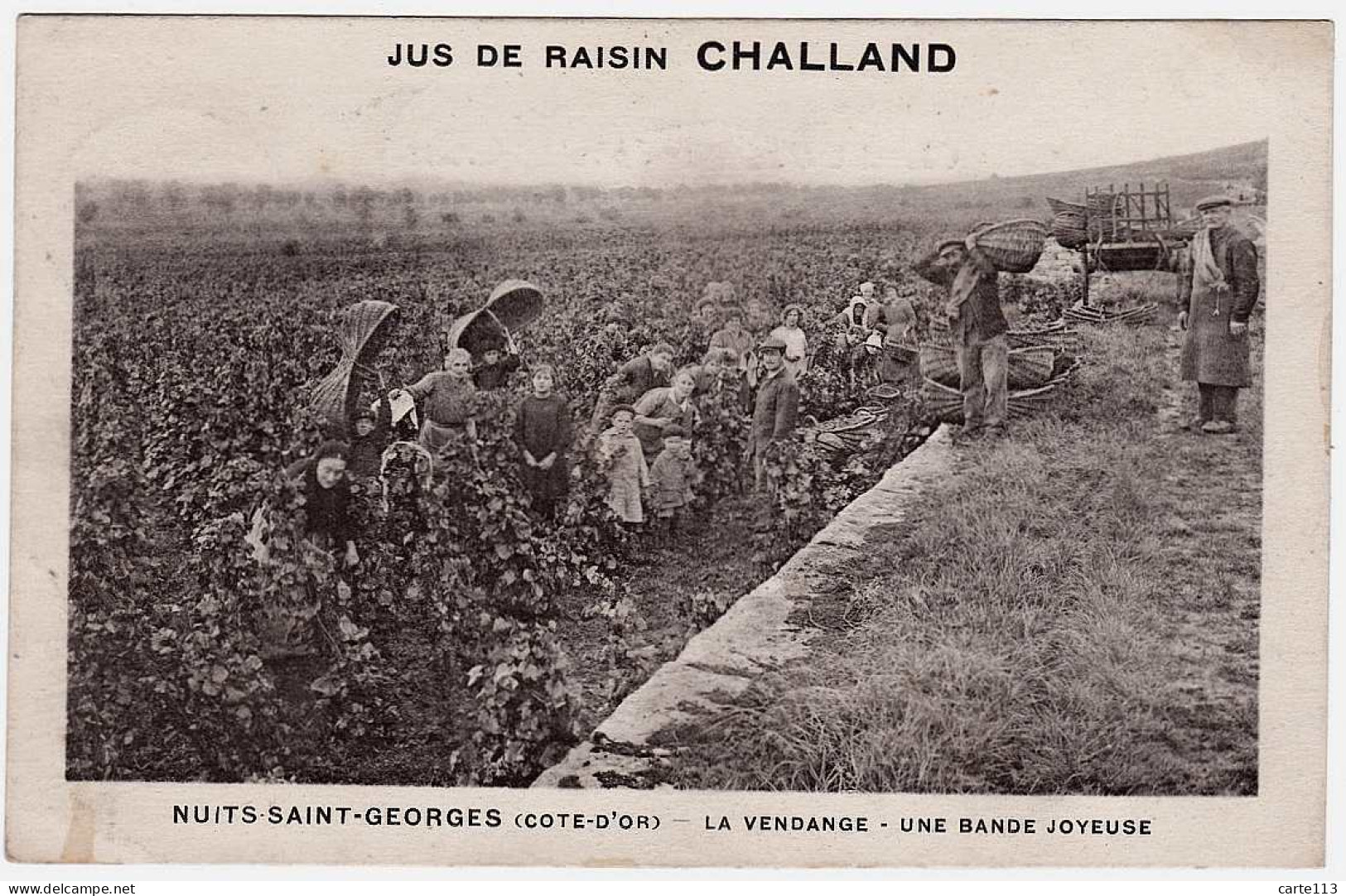 21 - T434CPSM - NUITS SAINT GEORGES - Jus De Raisin CHALLAND - La Vendange - Une Bande Joyeuse - Très Bon état - COTE-D' - Nuits Saint Georges