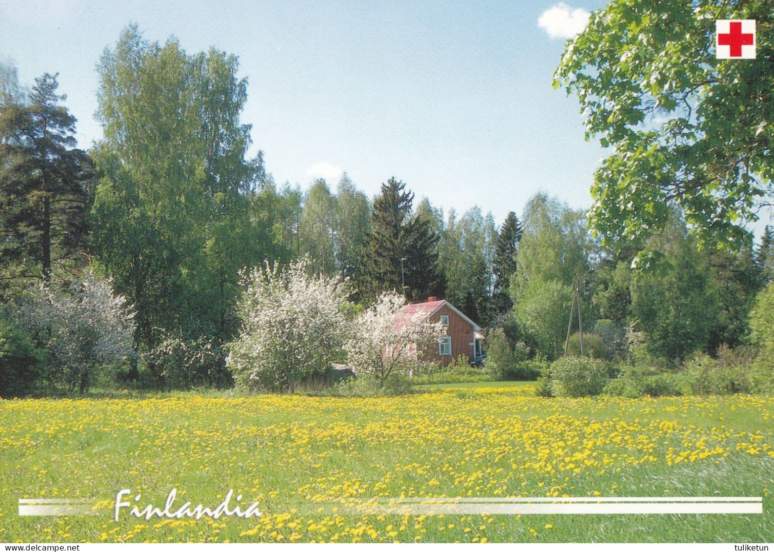 Postal Stationery - Summer Landscape - Scene - Red Cross 2002 - Finlandia - Suomi Finland - Postage Paid - Postal Stationery