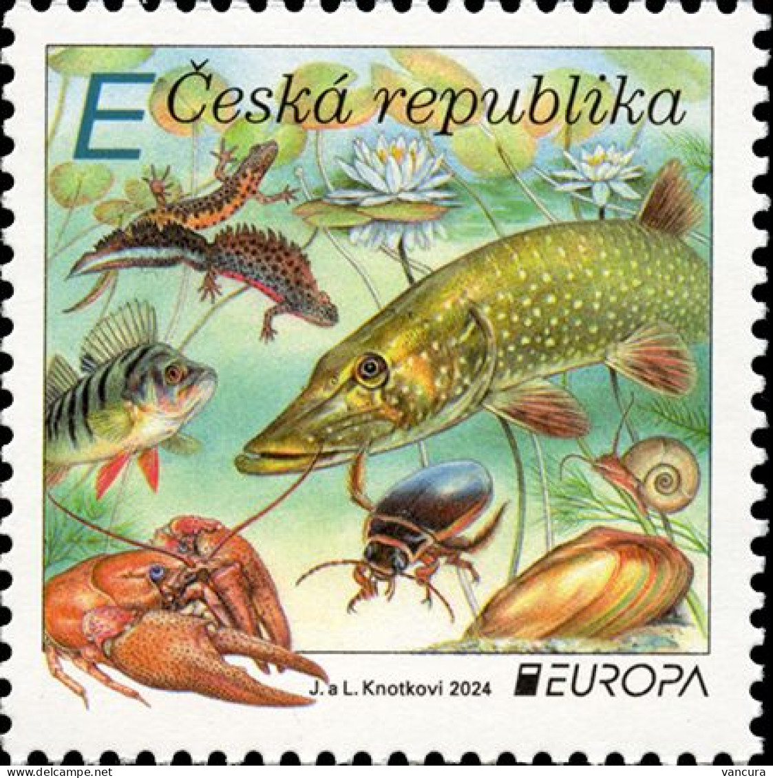 ** 1260 Czech Republic EUROPA 2024 Underwater Life - Conchas