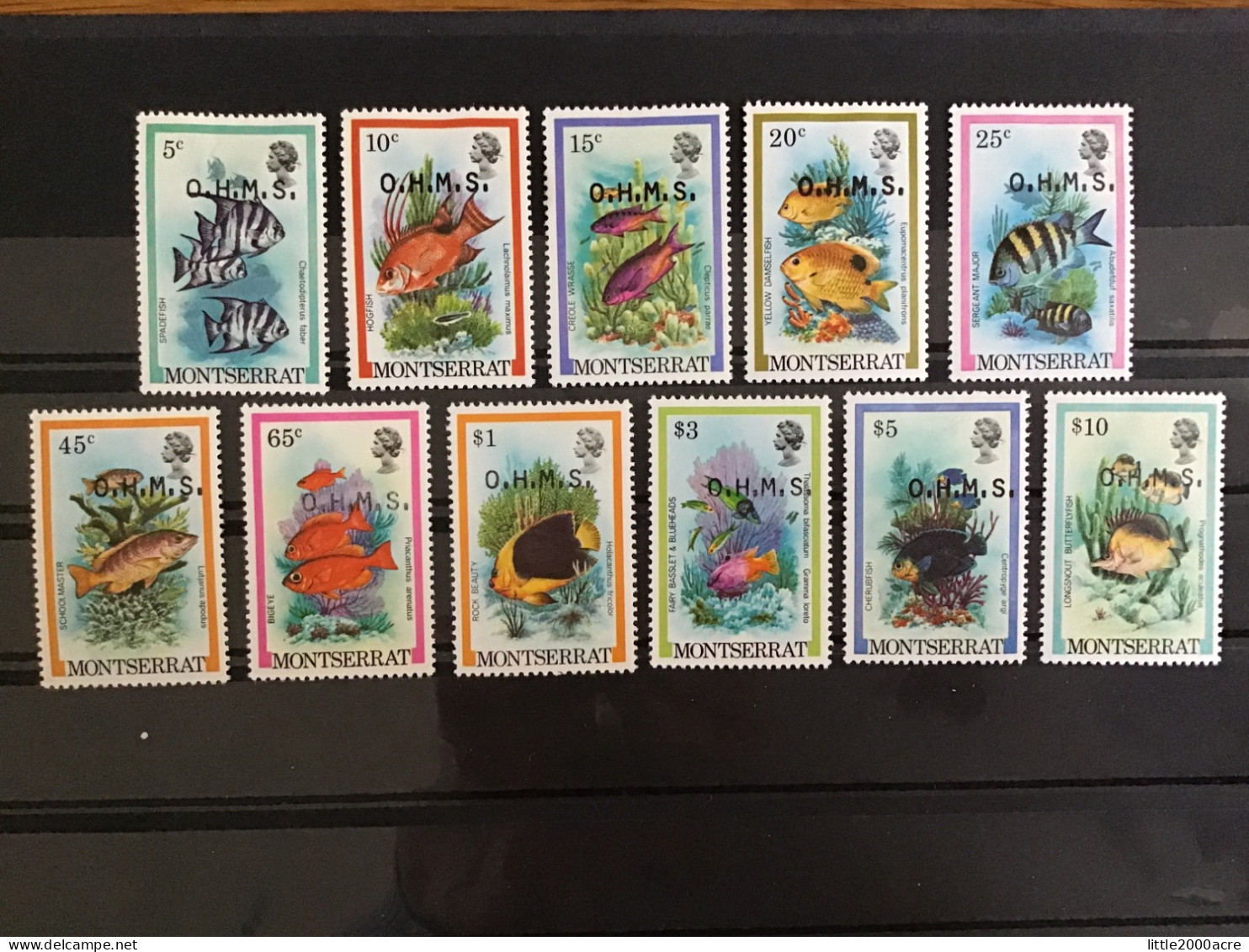 Montserrat 1984 Fishes Official Mint SG O42-52 Mi D32-42 - Montserrat