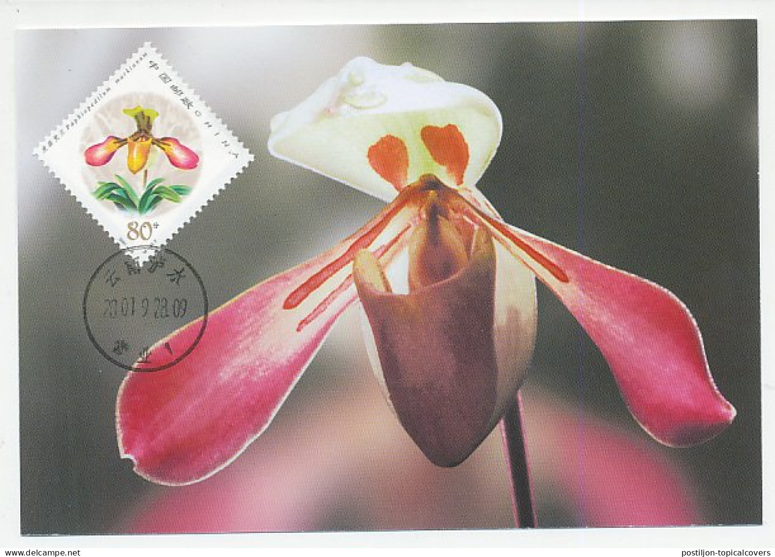 Maximum Card China 2001 Orchid - Other & Unclassified