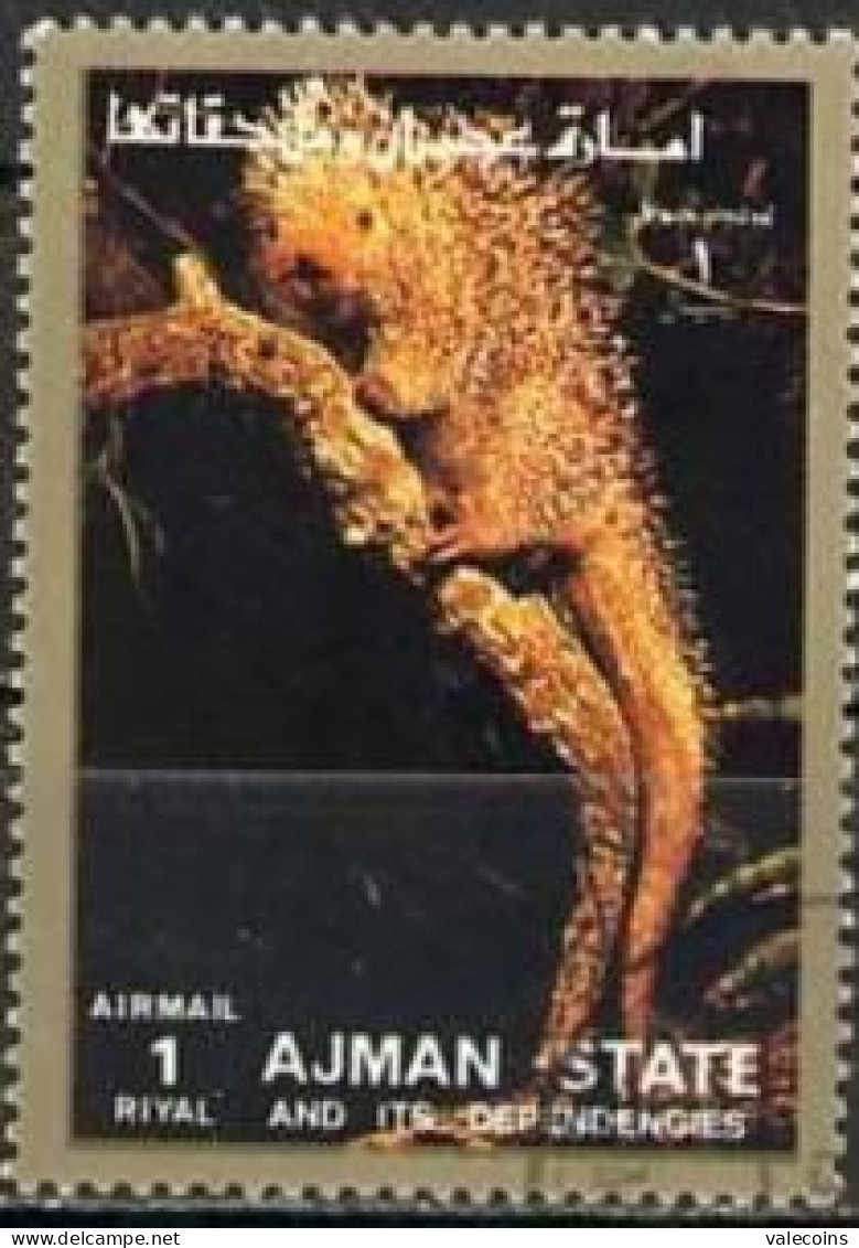 # AJMAN - 1973 - Bicolour-spined Porcupine (Coendou Bicolor) - MNH Stamp     MyRef:VG - Adschman