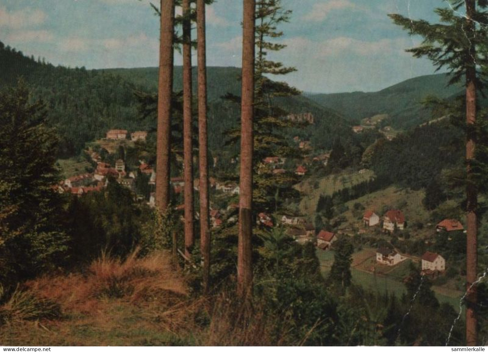 75833 - Bad Herrenalb - Blick Vom Wurstberg - 1977 - Bad Herrenalb