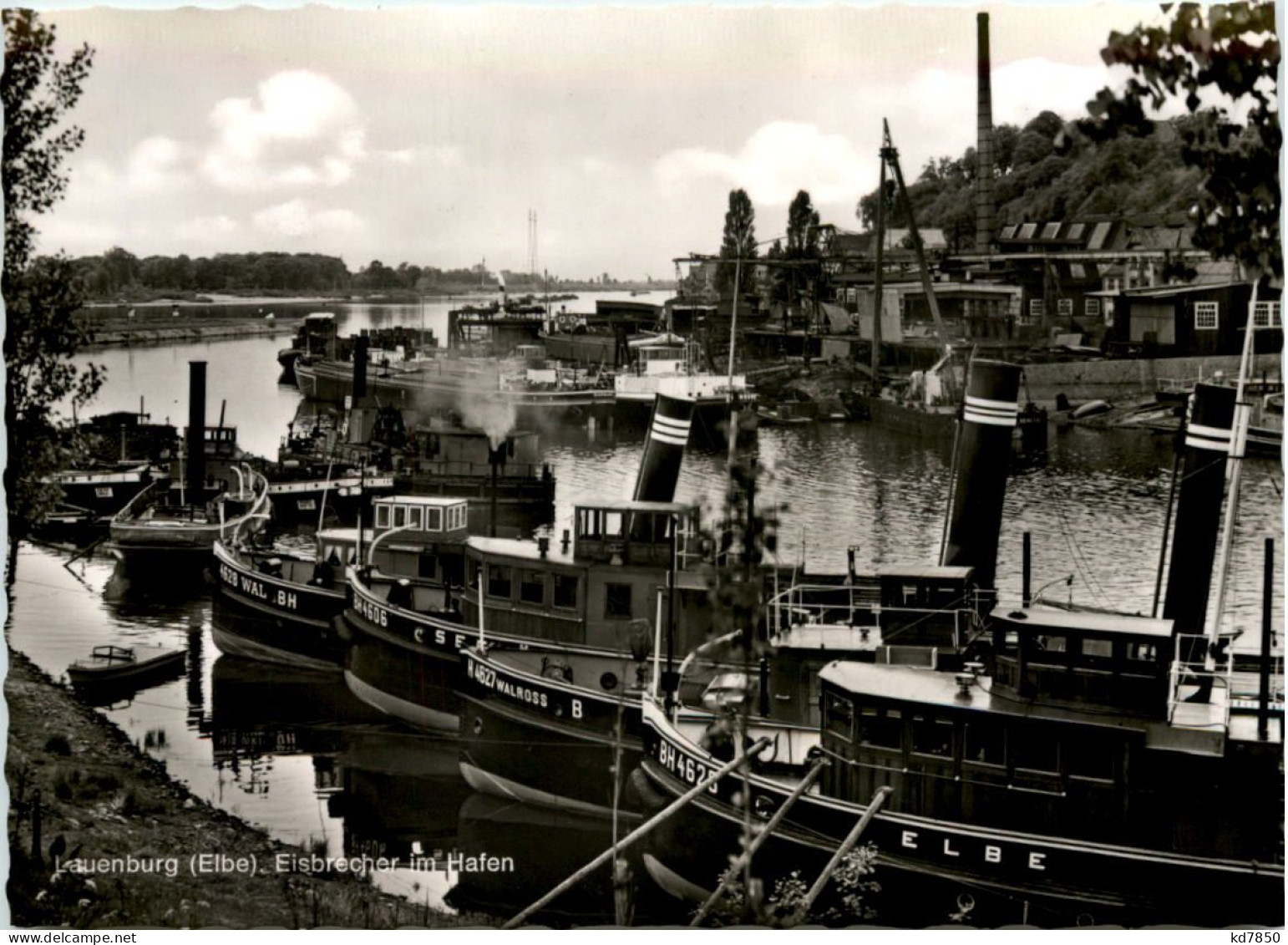 Lauenburg A D Elbe, Eisbrecher Im Hafen - Lauenburg