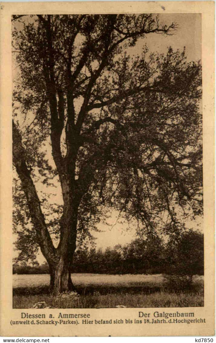 Am Ammersee, Diessen, Der Galgenbaum - Diessen