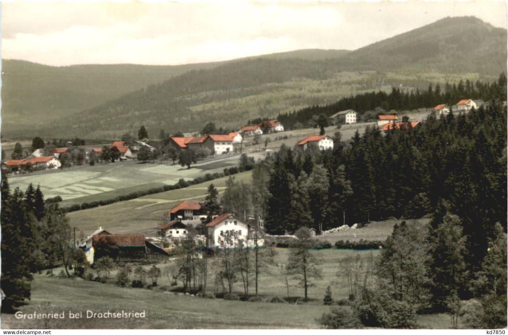 Grafenried Bei Drachelsried - Regen