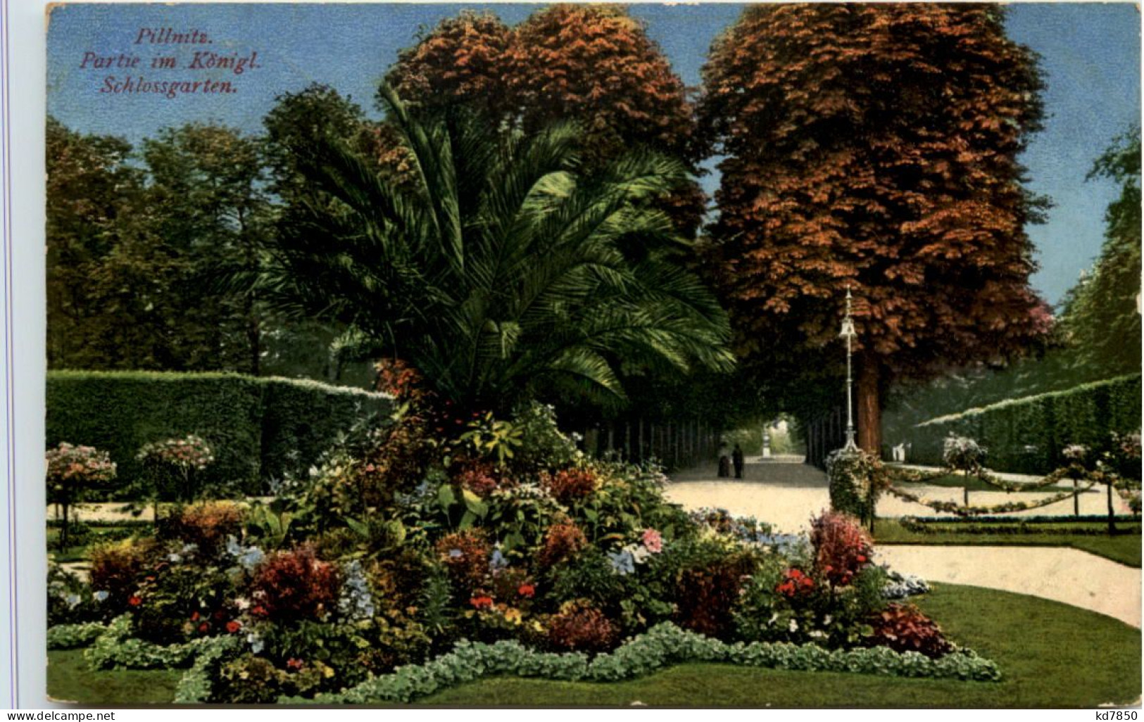 Dresden, -Pillnitz, Partie Im Kgl. Schlossgarten - Pillnitz