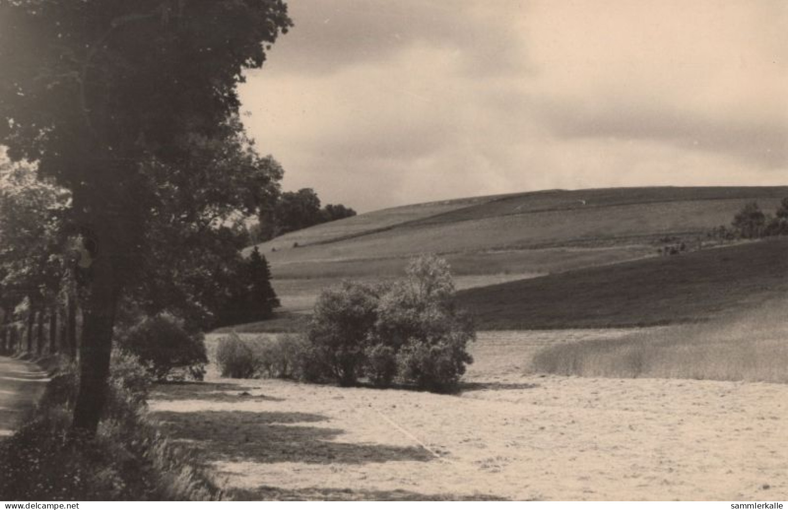 134290 - Klingenberg-Röthenbach - Landschaft - Klingenberg (Sachsen)