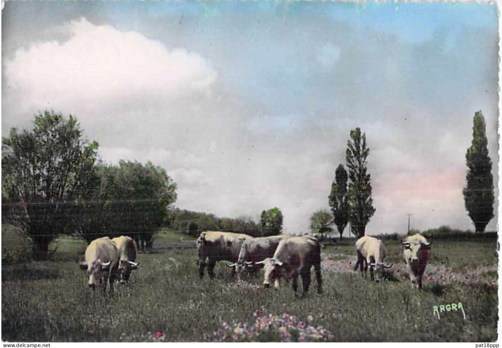 Bon LOT de 30 cartes GF AGRICULTURE Elevage - ANIMAUX de la FERME :dont 20 dentelées Chevaux Anes Vaches Moutons ...