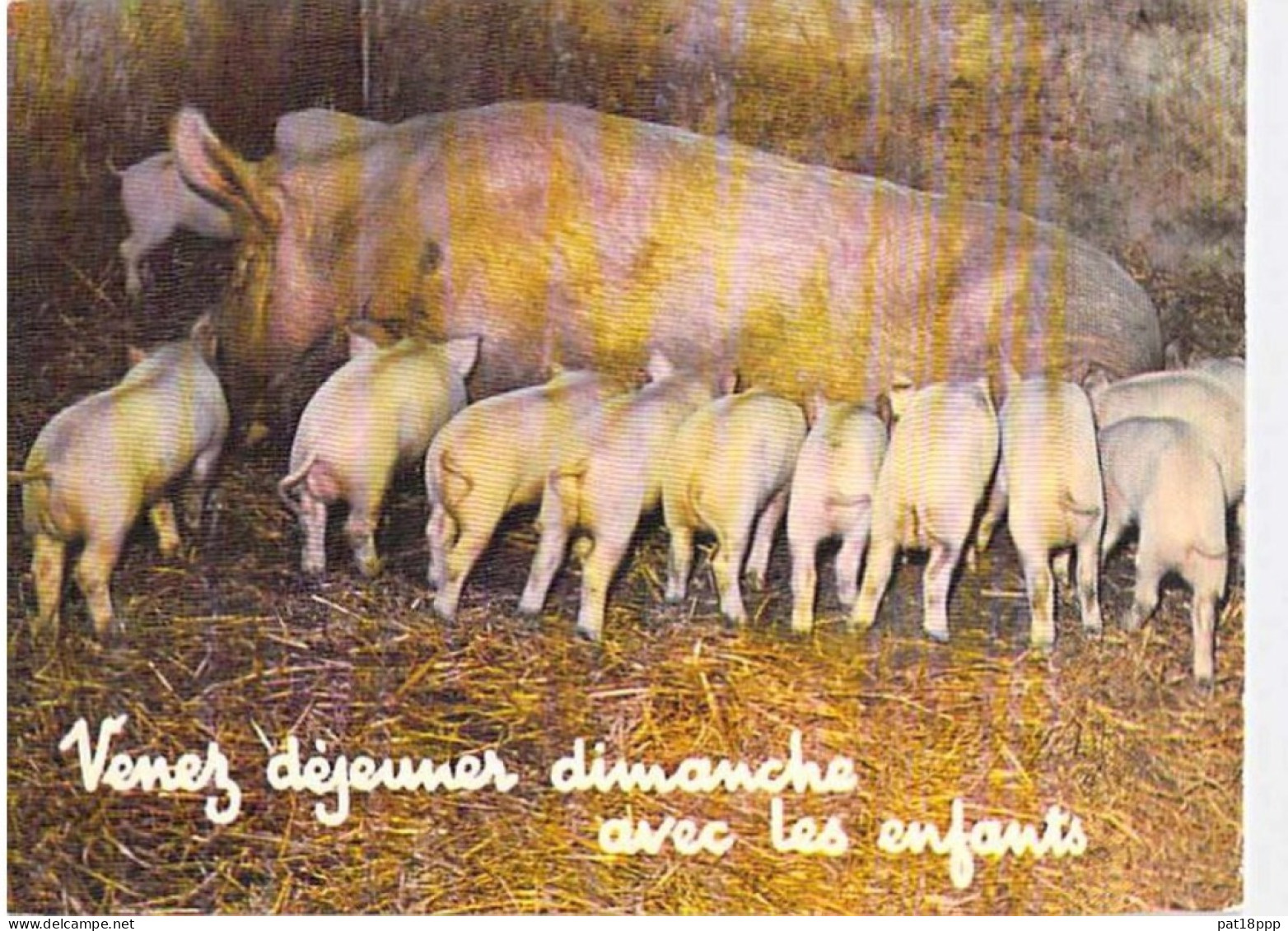 Bon LOT de 30 cartes GF AGRICULTURE Elevage - ANIMAUX de la FERME :dont 20 dentelées Chevaux Anes Vaches Moutons ...