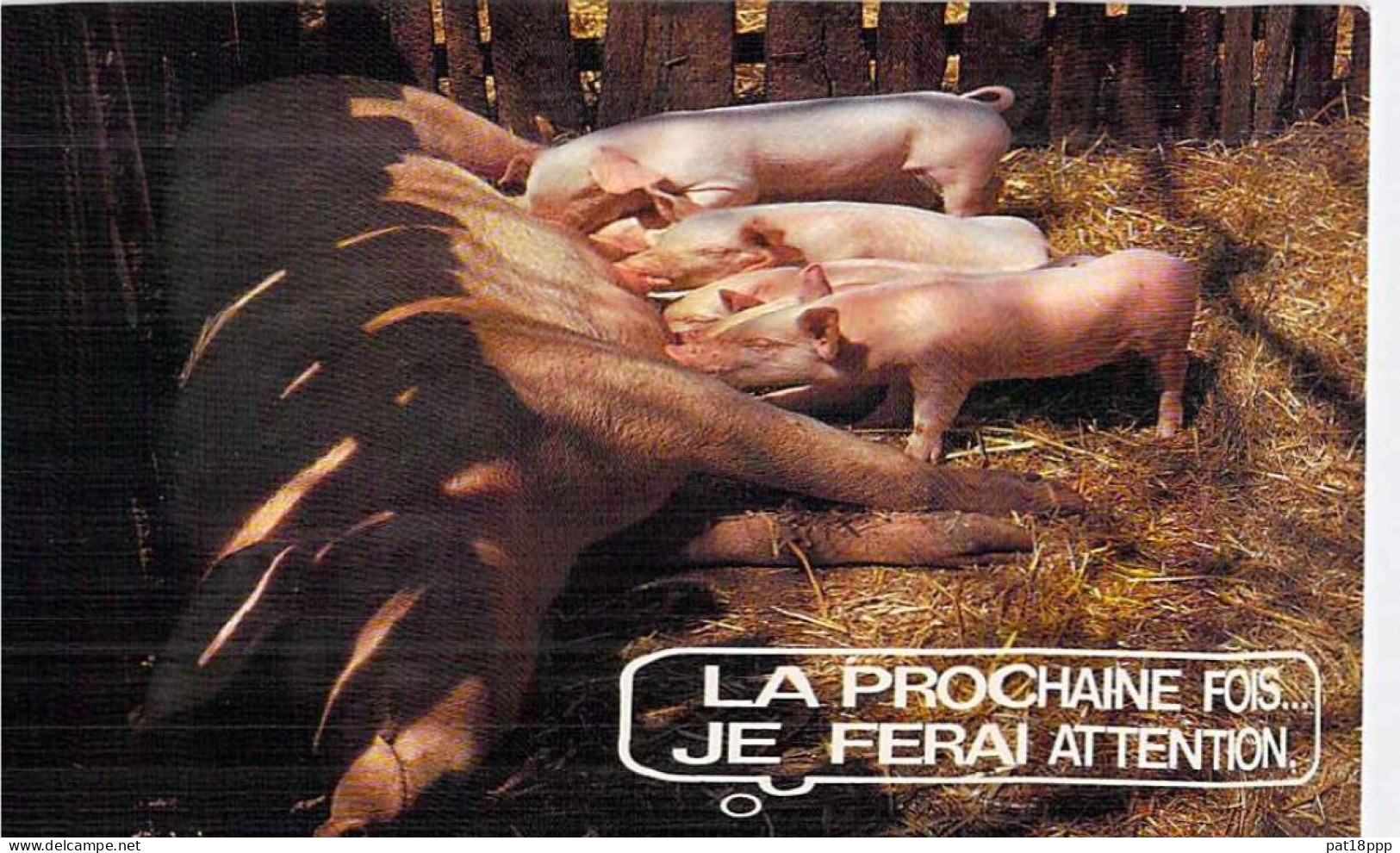 Bon LOT de 30 cartes GF AGRICULTURE Elevage - ANIMAUX de la FERME :dont 20 dentelées Chevaux Anes Vaches Moutons ...