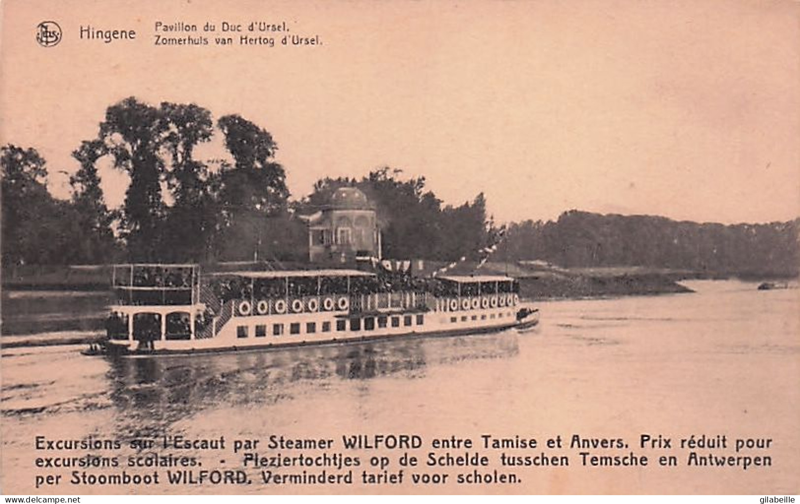 Bornem - HINGENE - Pavillon Du Duc D'Ursel -  Excursions Sur L'Escaut Par Steamer Wilford Entre Tamise Et Anvers - Bornem