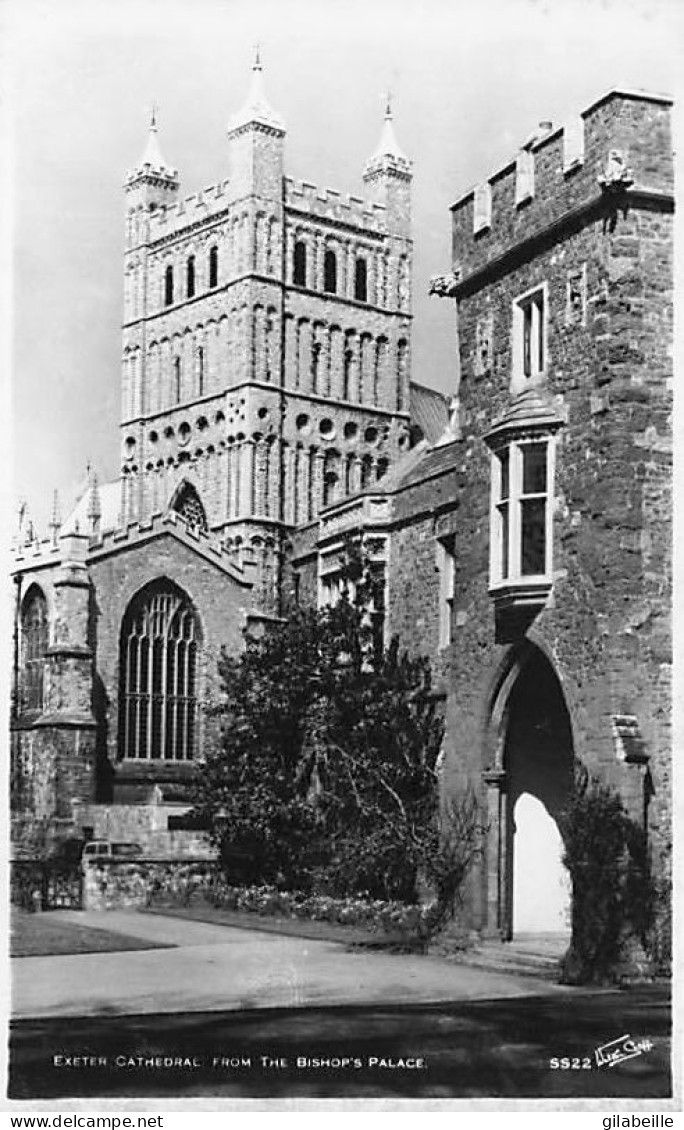 Devon - EXETER Cathedral From The Bishop's Palace - Exeter
