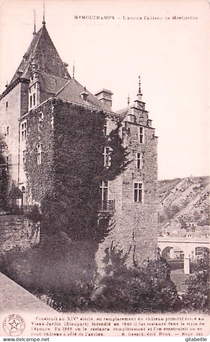 Aywaille -  REMOUCHAMPS - L'ancien Chateau De Montjardin - Aywaille