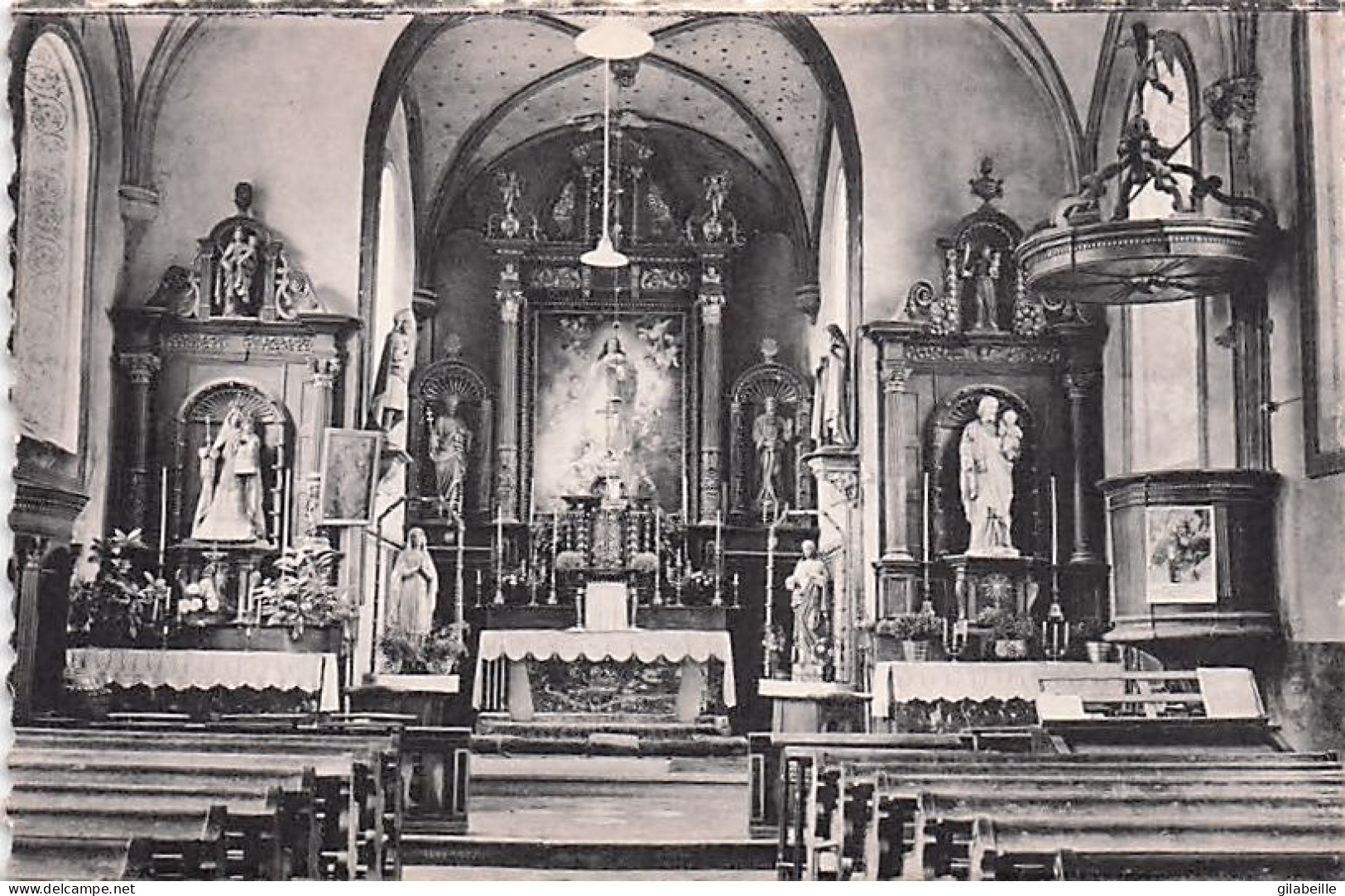 Vielsam - PROVEDROUX  - Interieur De L'église Paroissiale - Vielsalm