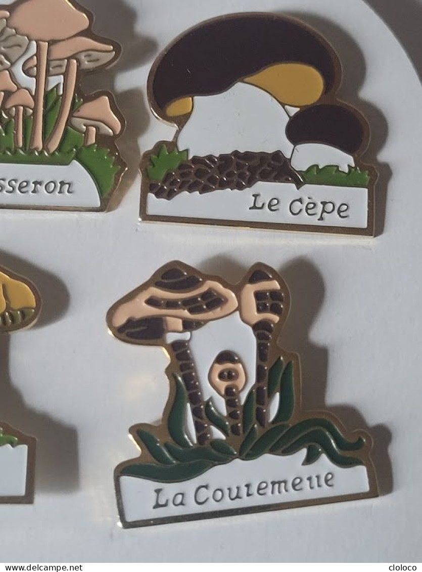 PINS PIN CHAMPIGNONS PILZE MUSHROOM COLLECTION 8 PINS - Alimentation