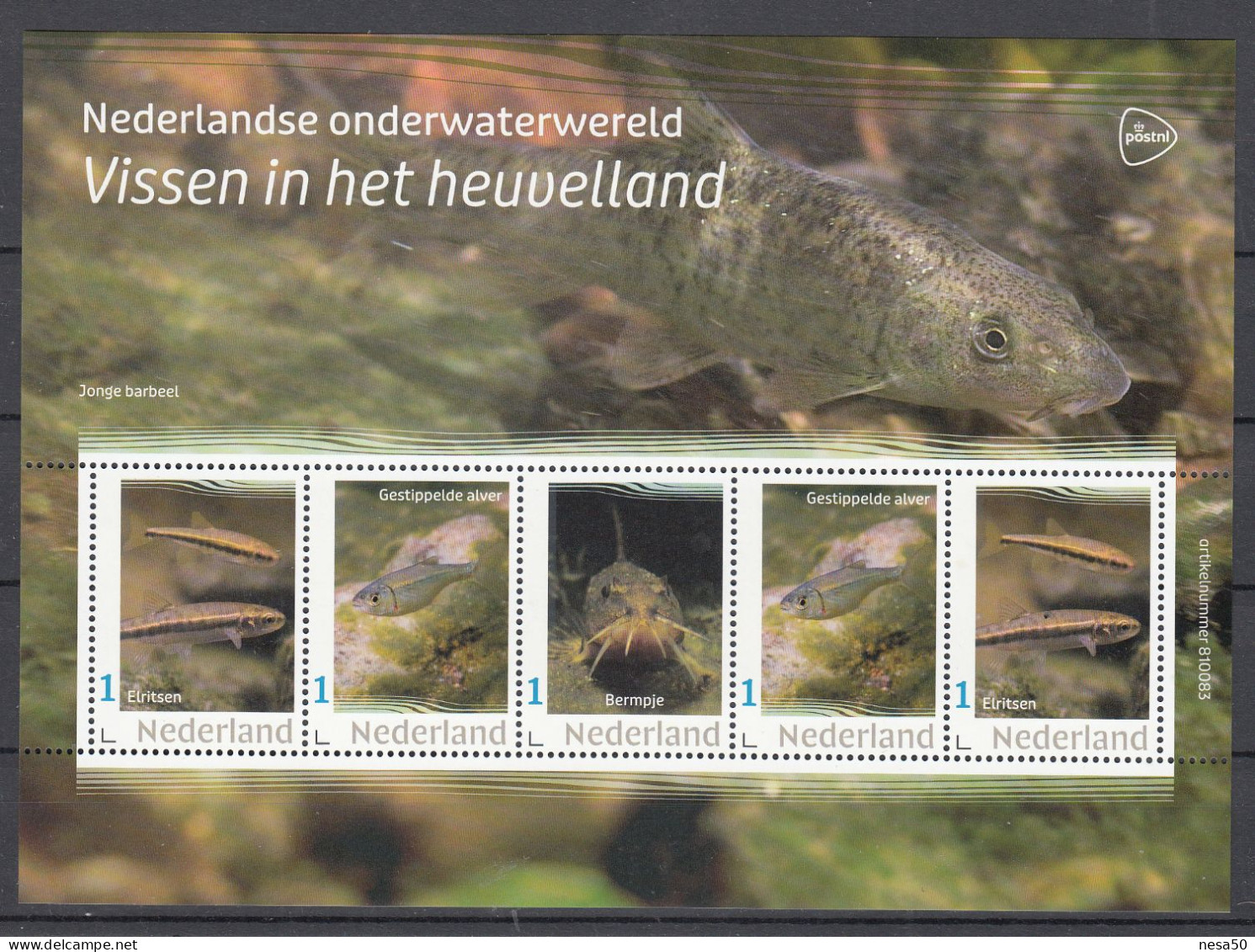 Nederland 2024 Onderwaterwereld : Vissen In Het Heuvelland: Elritsen, Alver, Bermpje - Ongebruikt